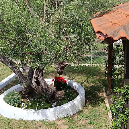 Family House By The Sea Holiday home Nikiti (Sithonia)