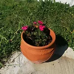 Hébergement de vacances Family House By The Sea Nikiti (Sithonia)