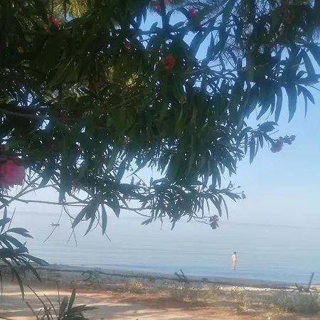 Family House By The Sea