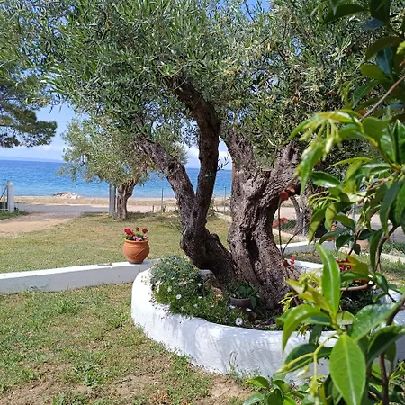 Casa de Férias Family House By The Sea Nikiti (Sithonia)