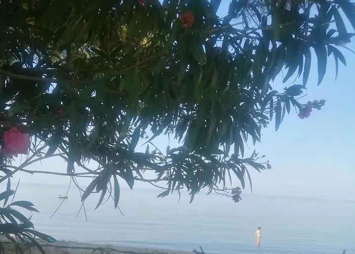 Family House By The Sea