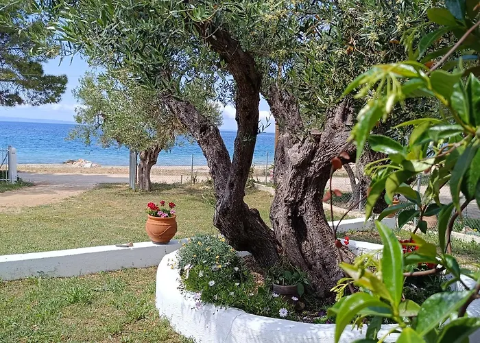 Casa de Férias Family House By The Sea Nikiti (Sithonia)